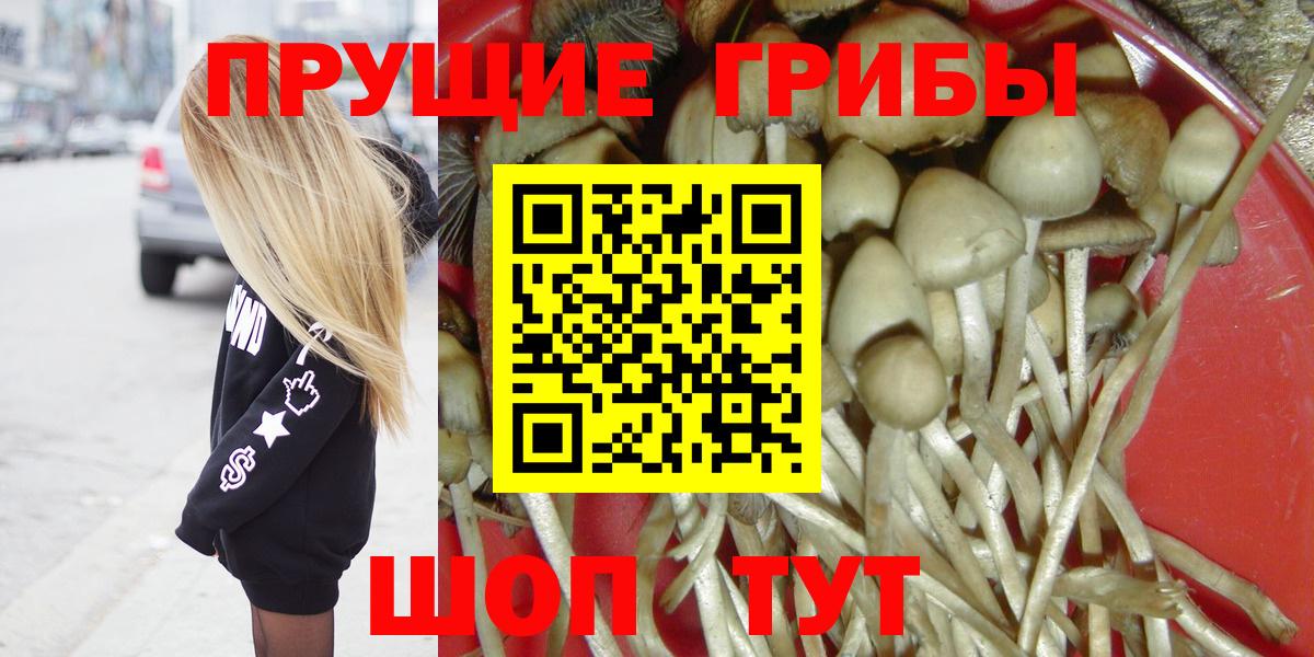 Псилоцибиновые грибы мицелий Лангепас